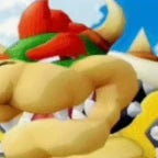 I nut on bowsers face