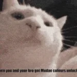 freesound_community-cat-purr-33835 - Sound