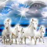 Lost all his aura points