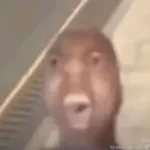 COME HERE COME HERE