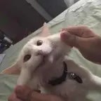 Window - Sundots pt.2