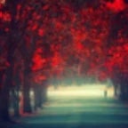 German Anthem (copy)