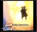 hola tonotos