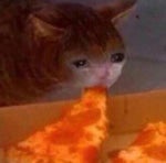 she bited my peepnis