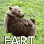 fart fart (copy)