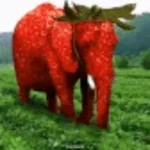 Strawberry Elephant - Sound