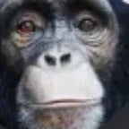 very very loud sound