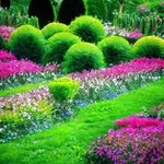 old Tere Ghar Ke Samne Dekho Rutha Na Karo