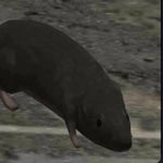 wait a minute, im white