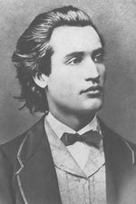 Petrica Mitu Stoian Coace Doamne prunele