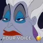 your-v-voice