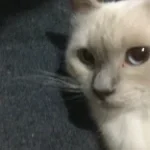 I would bash your whole family