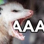 SCREECH SOUND EFFECT (copy)