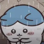 hachiware hits puberty