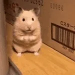 Dip Da Dee Da Dee Da Doh Doh