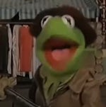 Kermit opposes violence but