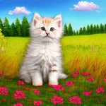 Good afternoon. How are you