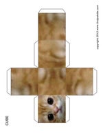 peace out disappearing dude