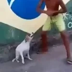 NO BATIDÃO (Slowed)