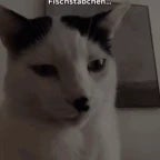 adolf higgin epic farts