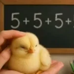 5+5+5+5 ai é muito facil professor