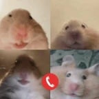 we live, we love, we lie (copy)