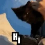 le H