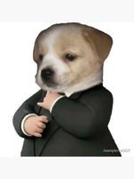 THERE’S A SNAKE IN MY BOOT [ ezmp3