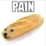 PAIN (copy)