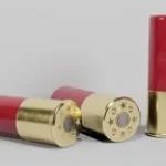 Shotgun shell sound