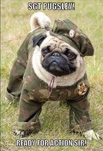 Halo Theme (Irish Folk Version)