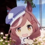 I want Hachimi Hachimi Mambo