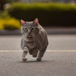 I’m move now over - Sound