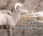 num compensa