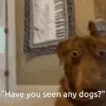 เห็นควายอ้ายบ่ - Sound