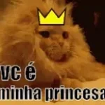 voce comeu a princesa