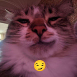 Discord notification sound