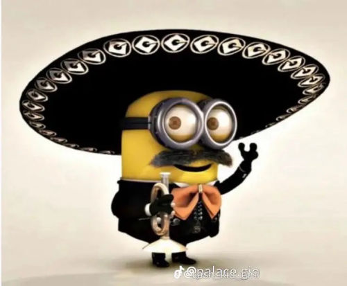 KING BOB