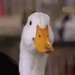 En la punta de aquel cerro hay una verga parada en la punta