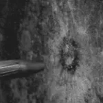 alcor windows and doors