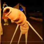 Marcus you save my life