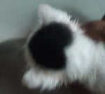 Calm Down by Listin Laia