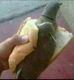 Matrika Pedal To The Metal