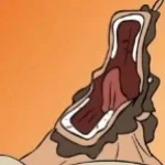 Quandale Dingle AHHHHHHHHHHHHHHHHHHH