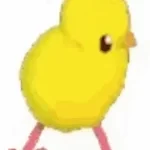 duck tweaking