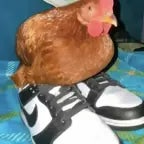 Artistas que saben cantar