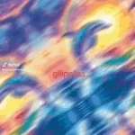 PERO VOSOTROS SON GILIPOLLAS