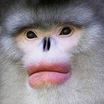 how many genders are there i dont know i just got here