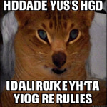 rudhdh