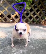 MY NAME IS UNCLE SAMSONITE